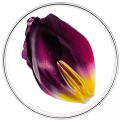 Phytocyane ΑΓΩΓΗ ΤΡΙΧΟΠΤΩΣΗΣ ΓΙΑ ΓΥΝΑΙΚΕΣ
