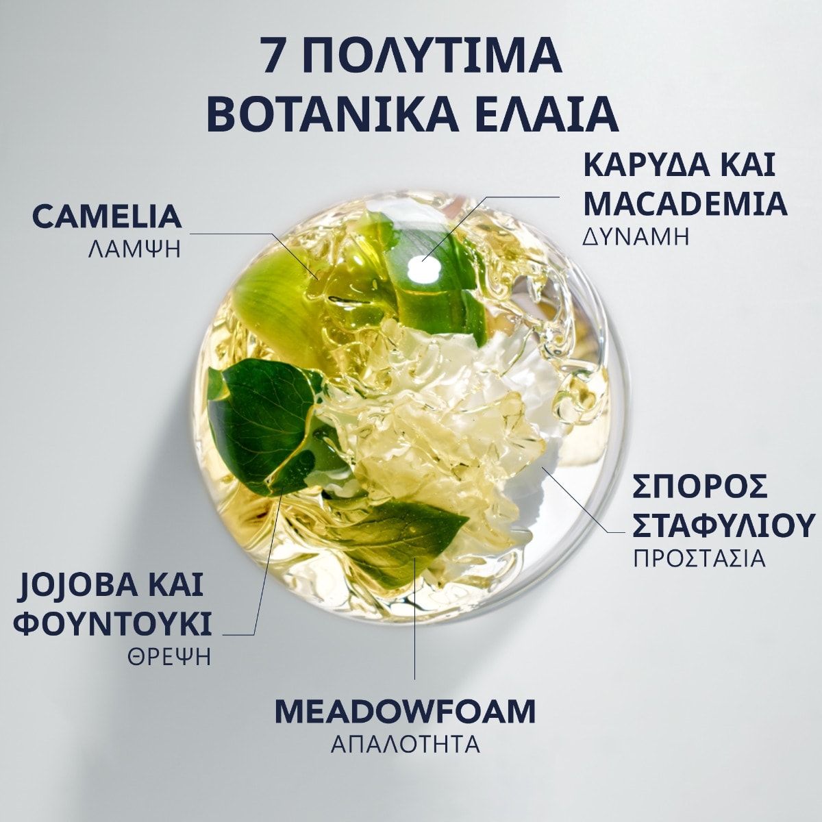 Phyto 7 Elixir Universal Enhancing Oil