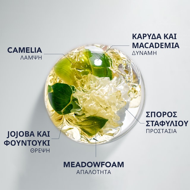 7 ΠΟΛΥΤΙΜΑ ΒΟΤΑΝΙΚΑ ΕΛΑΙΑ