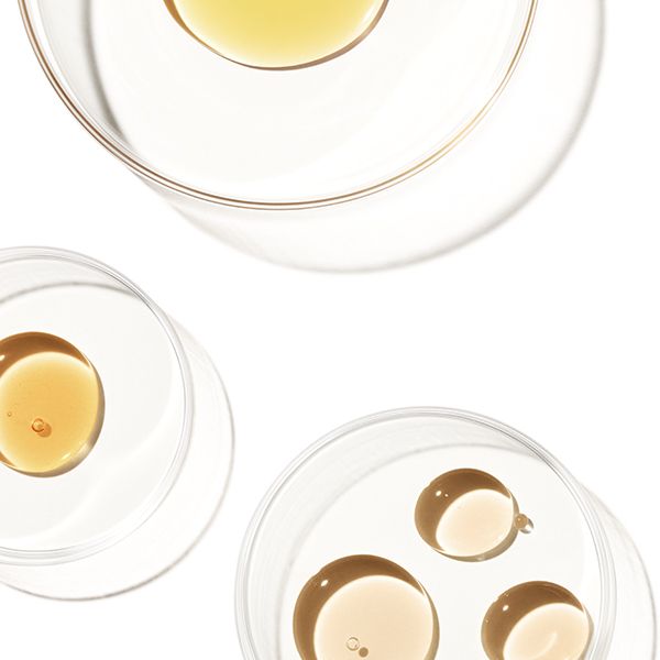 4 ΕΛΑΙΑ ΦΥΣΙΚΗΣ ΠΡΟΕΛΕΥΣΗΣ